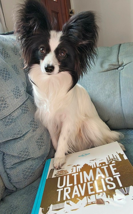 Echo beside book